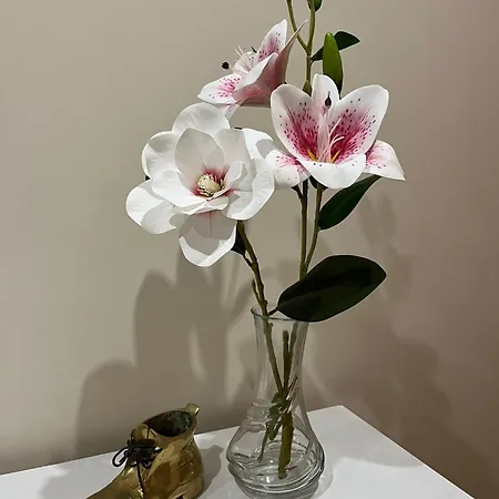 Casa Branca * Redondela