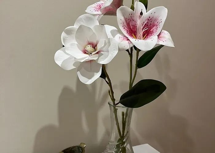 Casa Branca * Redondela